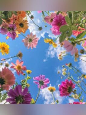 For 💕 Live Show unlisted items 💕